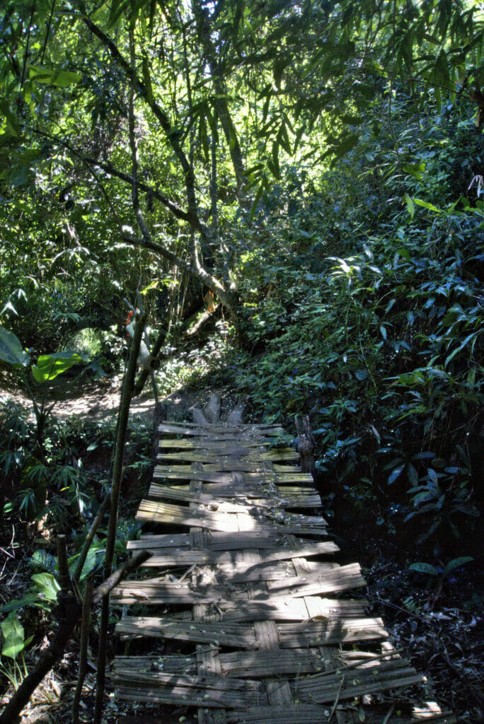 Pont de bambou autour de Wat Pha Lat