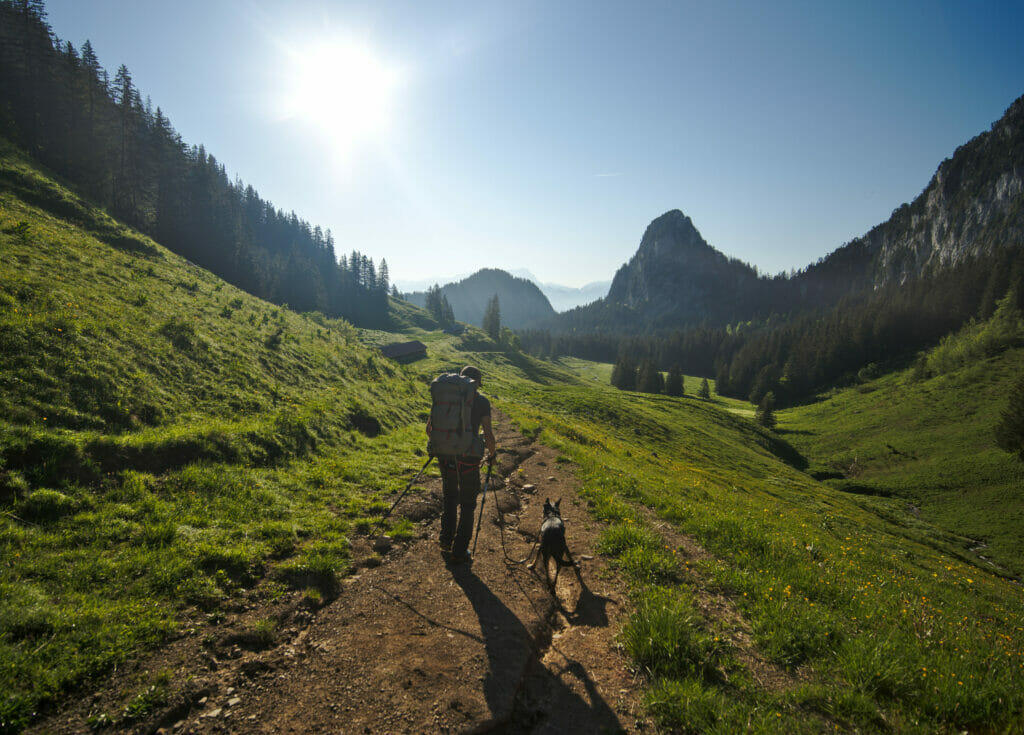 randonner en montagne avec notre chien winchy