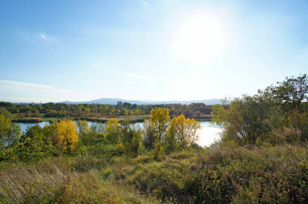 Lac Wienerbergteich