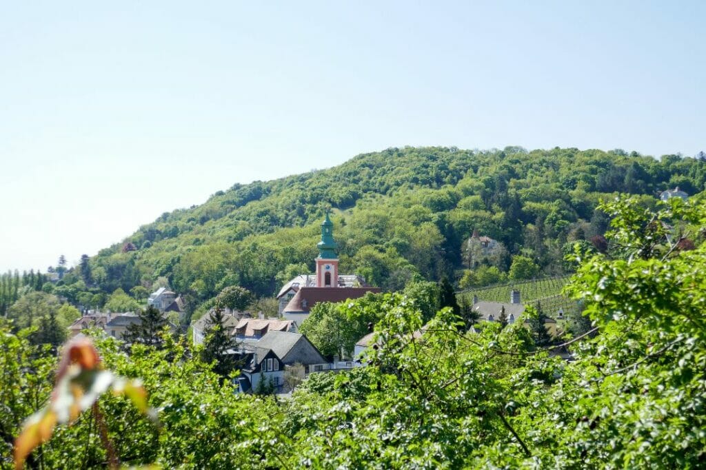 View from the Kahlenberg in Vienna