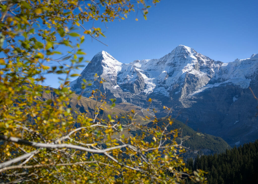 vue jungfrau et eiger