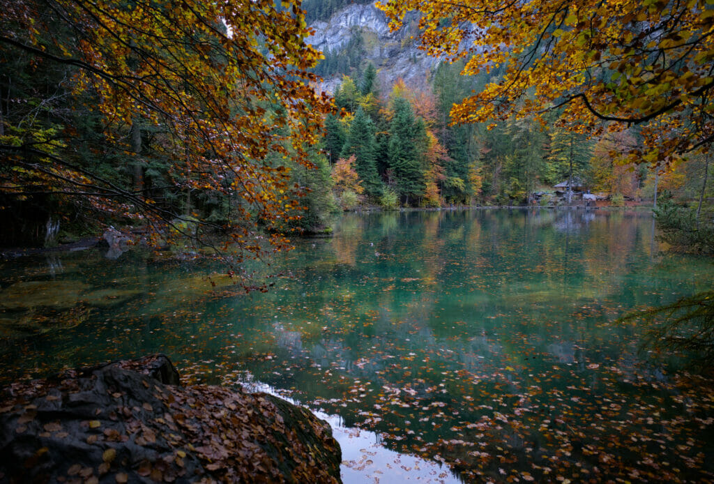 le blausee en automne