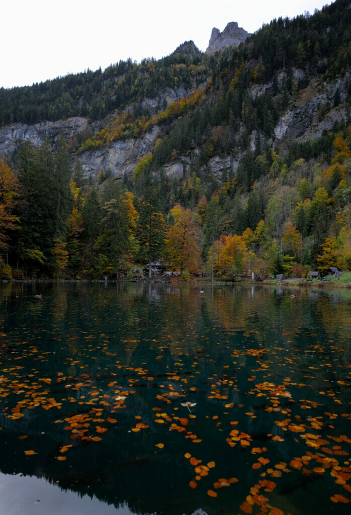 les couleurs du blausee en automne