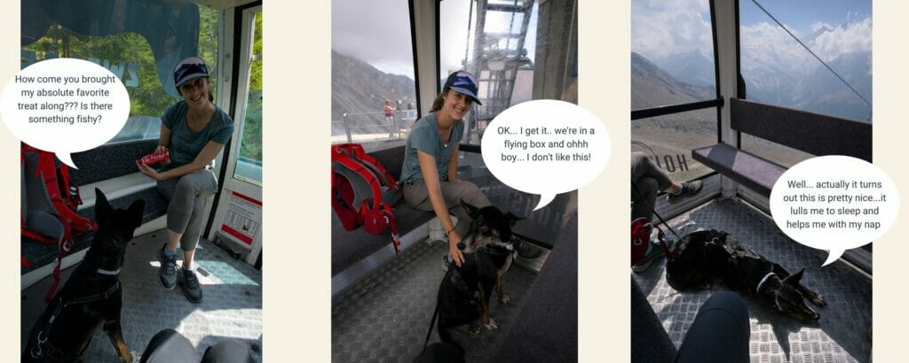 cable car dog