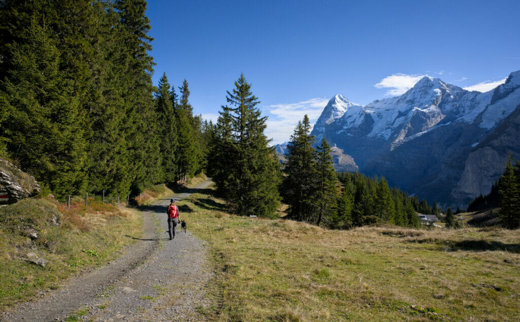 chemin panoramique lauterbrunnen