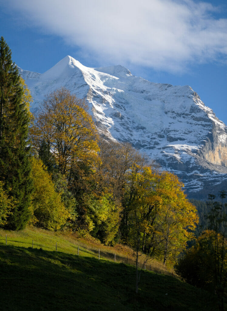 panorama jungfraujoch