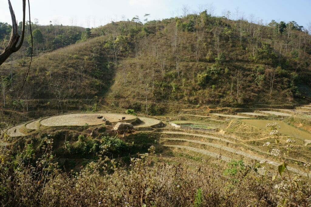 parc national de Ba Be dans le nord du Vietnam