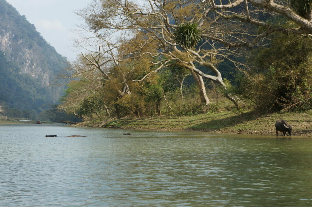 parc national de Ba Be dans le nord du Vietnam