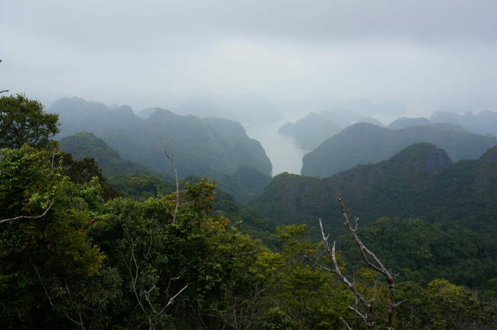 Vue pendant le trek dans le parc national de Cat Ba