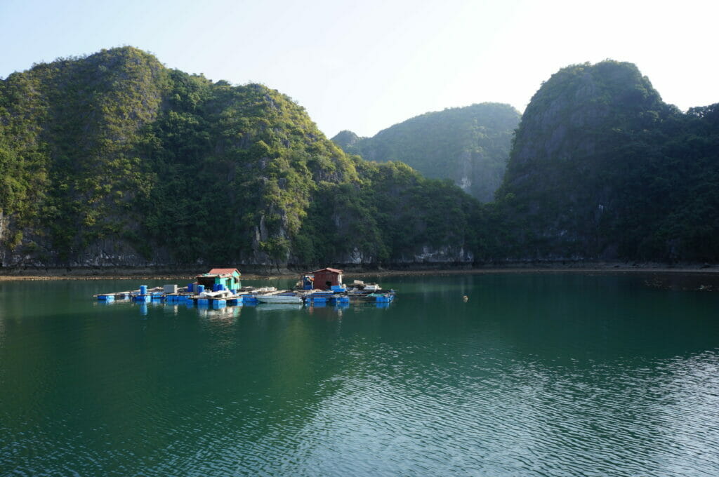 Baie de Lan Ha, baie d'Halong au Vietnam
