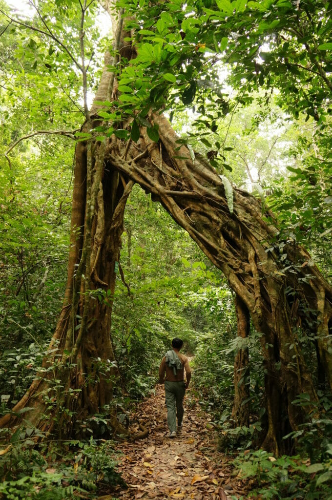 parc national de Cat Ba, baie d'Halong, Vietnam