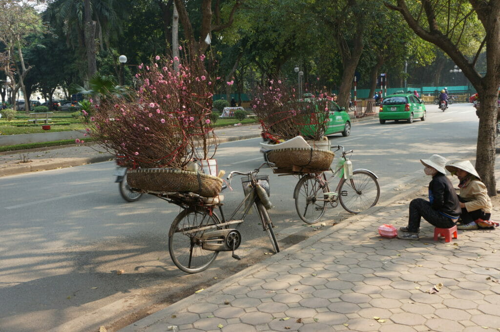 Vendeuses dans les rues de Ha noi