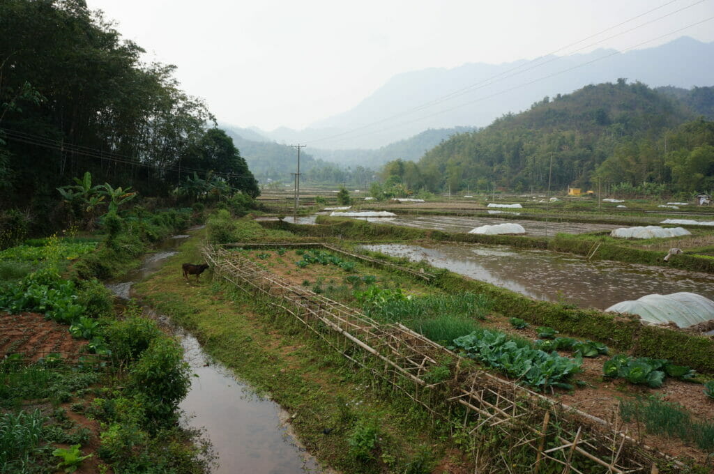 Mai Chau Vietnam