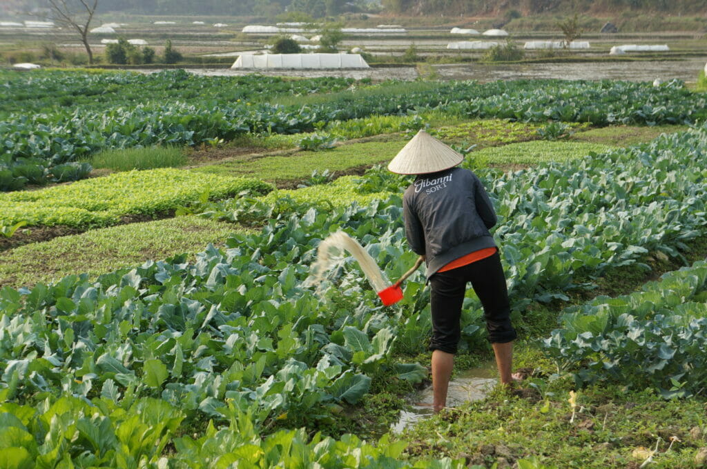 Mai Chau Vietnam