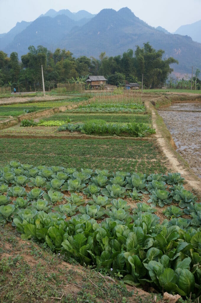 Mai Chau Vietnam