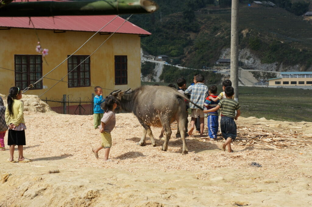 enfants Hmong à Sa pa