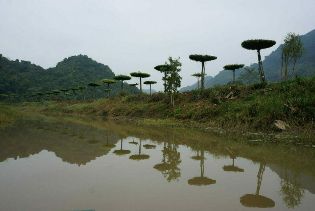 tour en bateau à Tam Coc