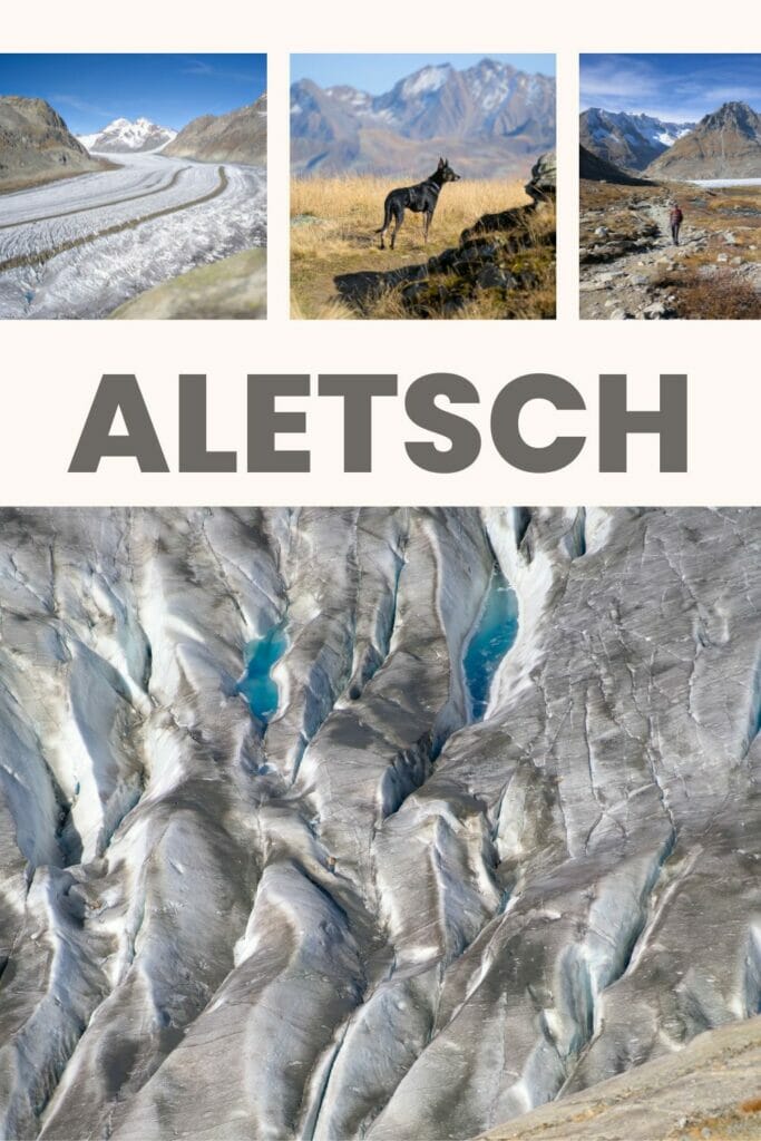 altesch glacier hikes