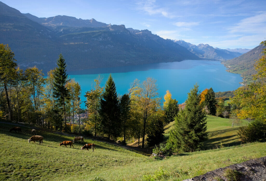 lac de Brienz