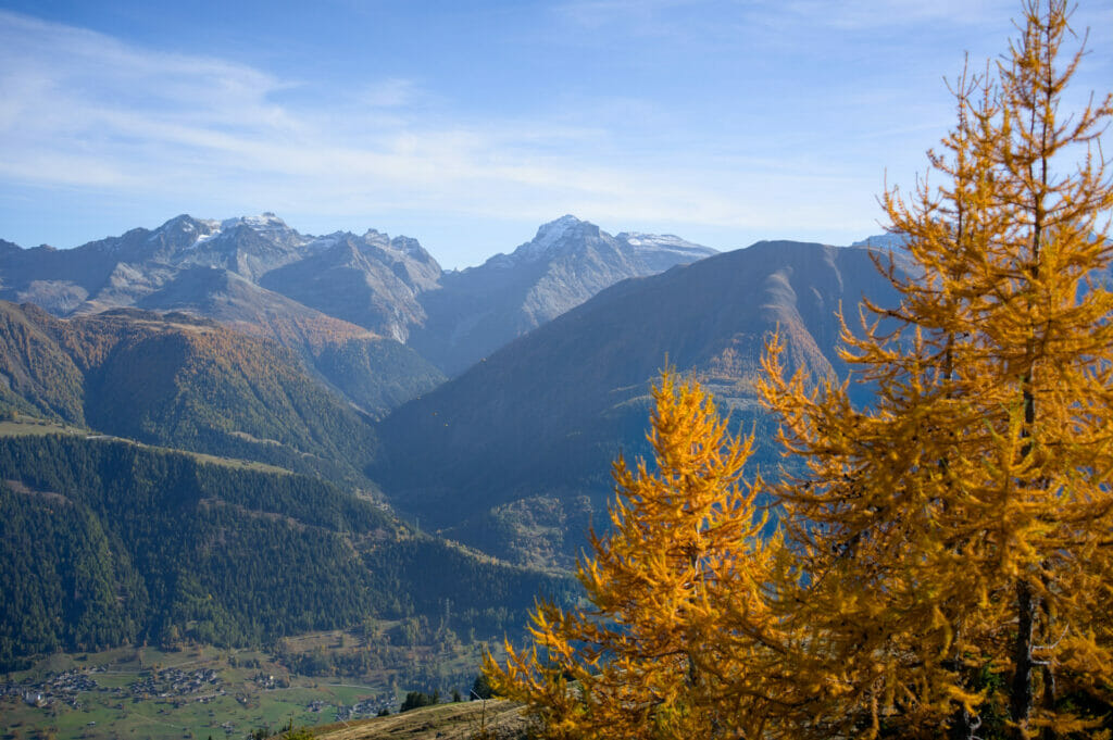 la vue vers l'alpage de Fiesch