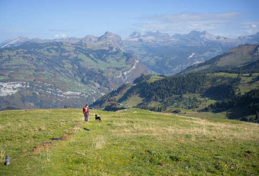 descente fronalp