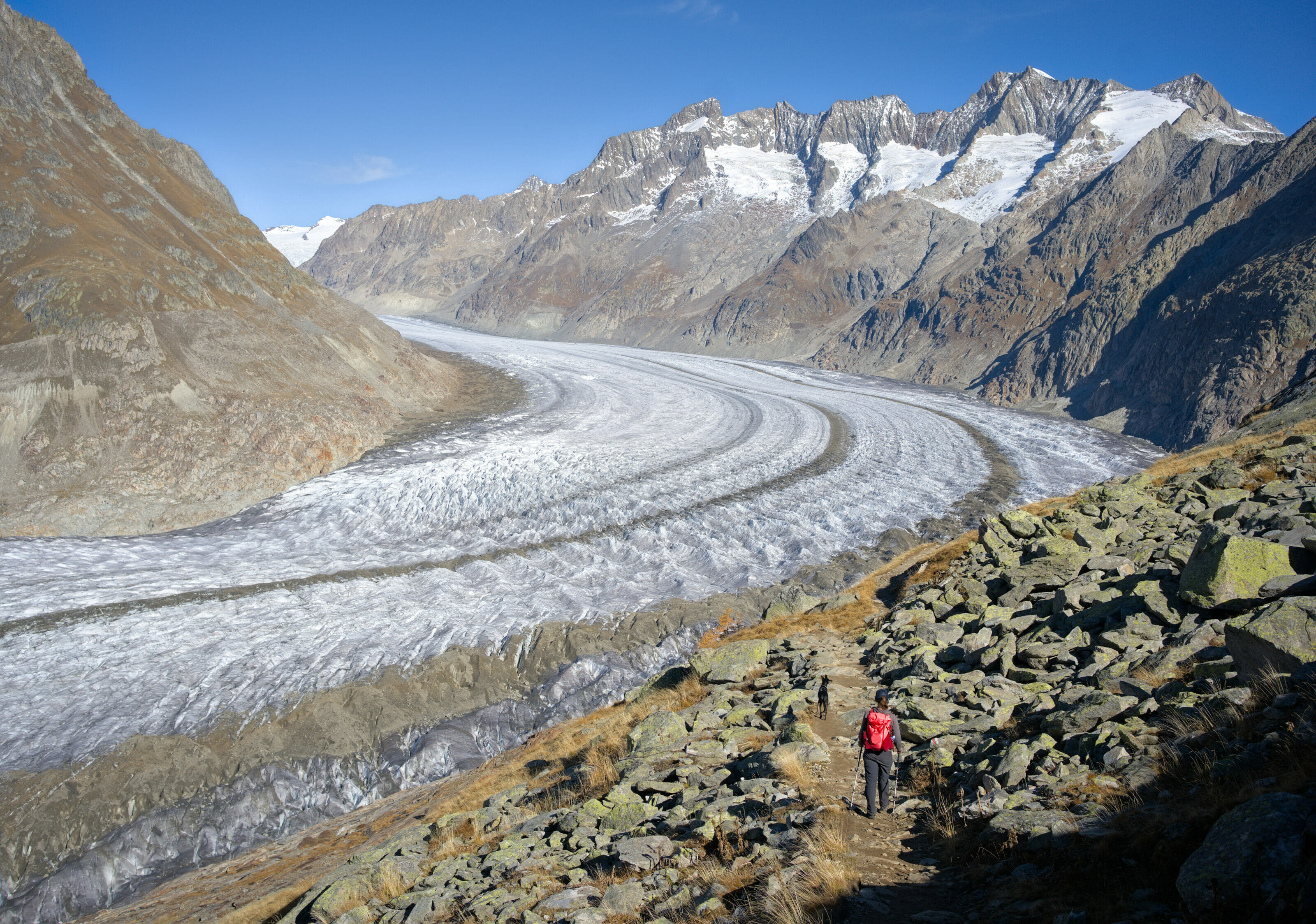 randonner au glacier d'Aletsch