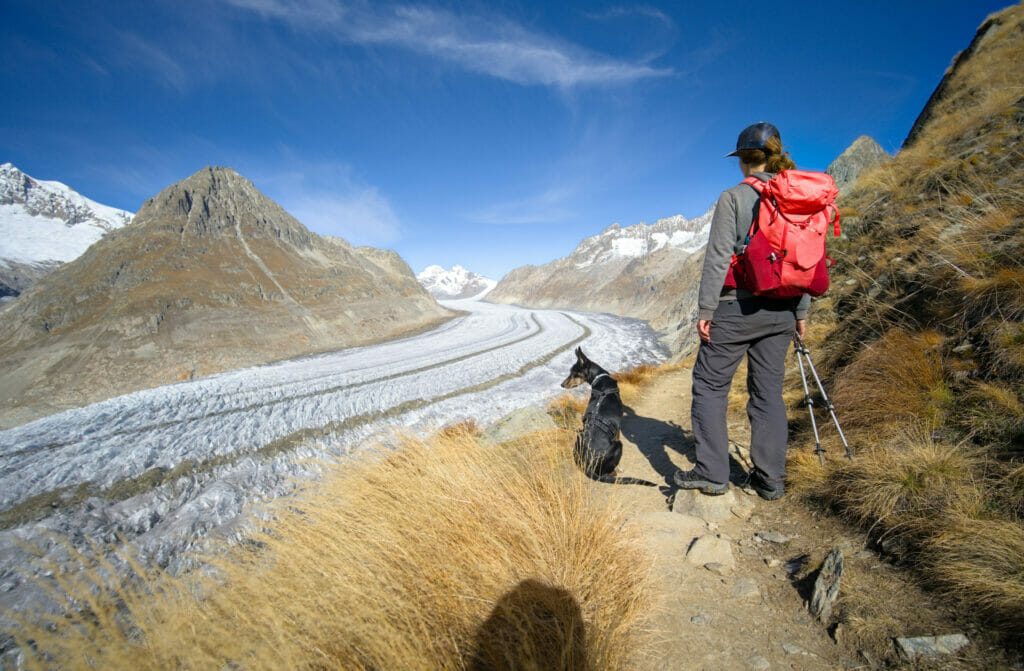 randonner au glacier d'Aletsch