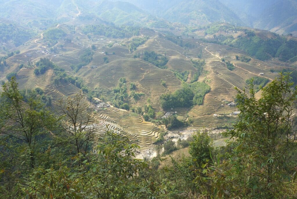 vue sur les rizières pendant le trek à Sapa