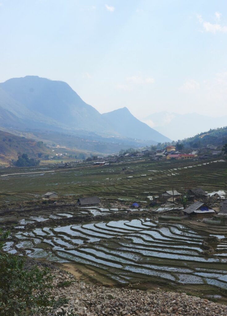 les rizières pendant le trek au nord du vietnam