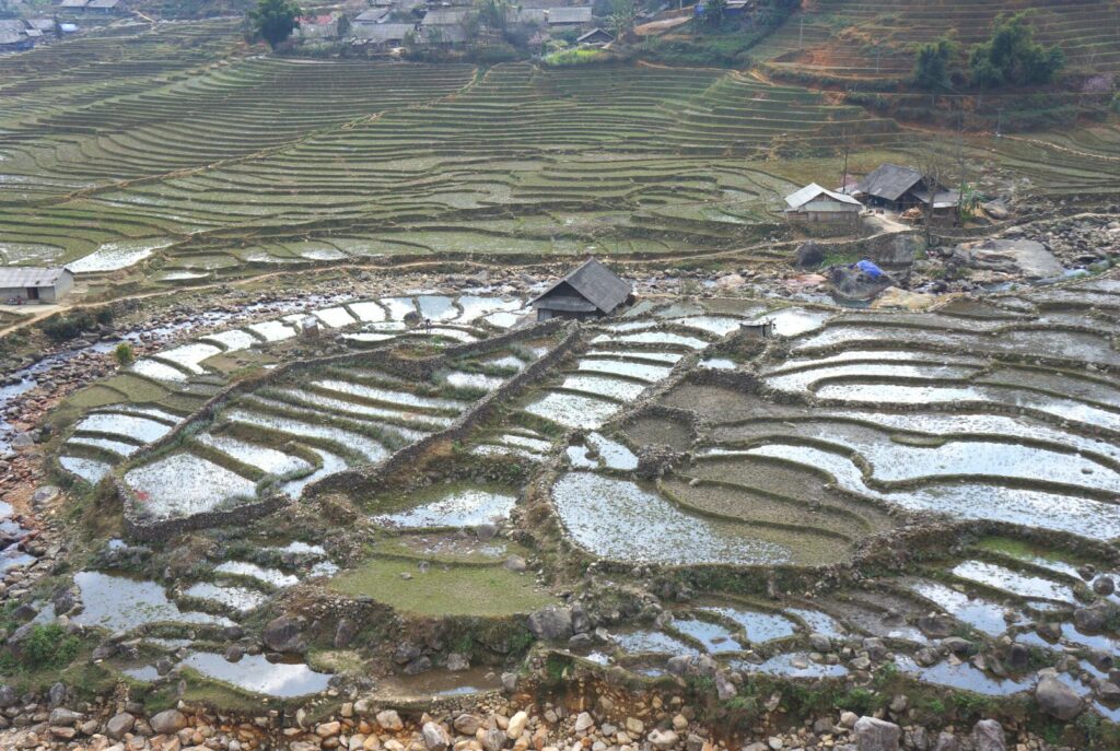les rizières à sa pa au nord du Vietnam