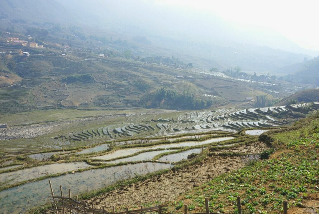 les rizières à Sa pa au nord du vietnam