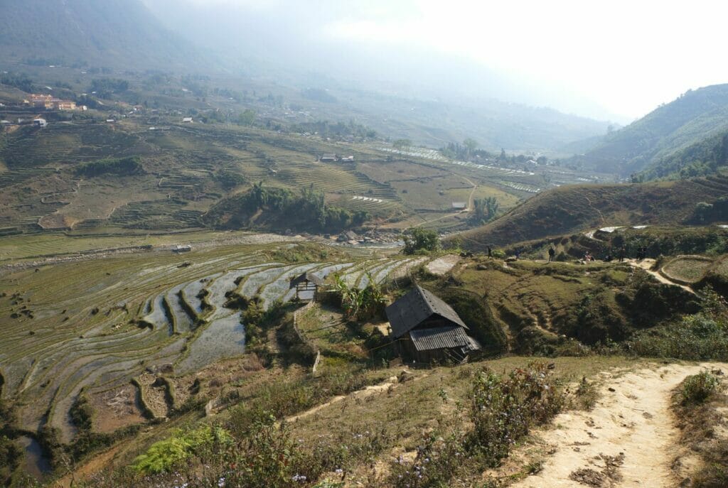 les rizières à sapa au nord du vietnam