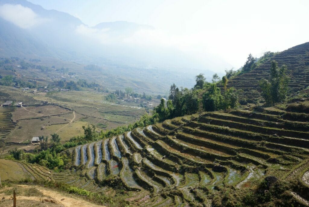 les rizières à sa pa au nord du vietnam