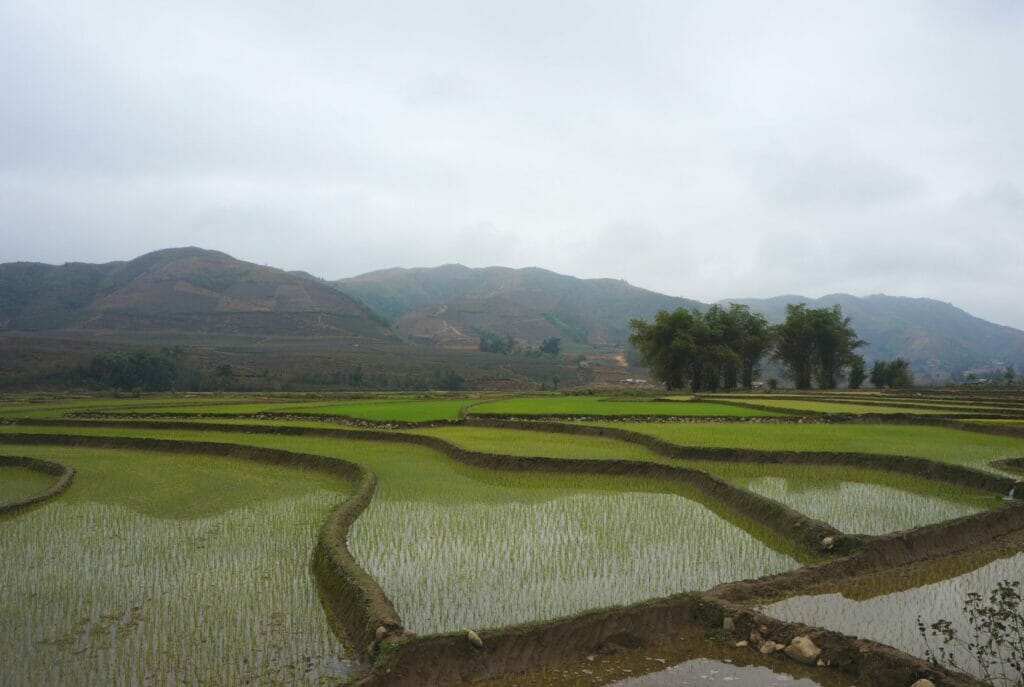 les rizières à sapa