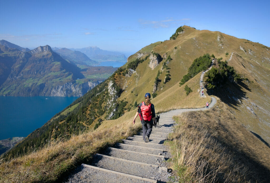 chemin de randonnée facile