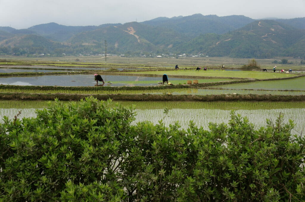 sur la route de Dien Bien Phu