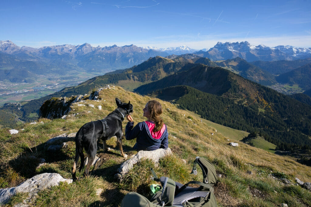 sommet du Linleu, Chatel