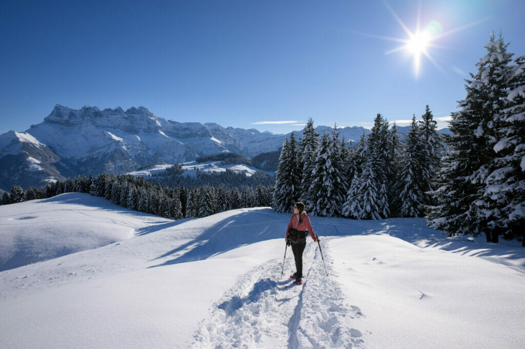 montée à la pointe de Bellevue en raquettes depuis Morgins