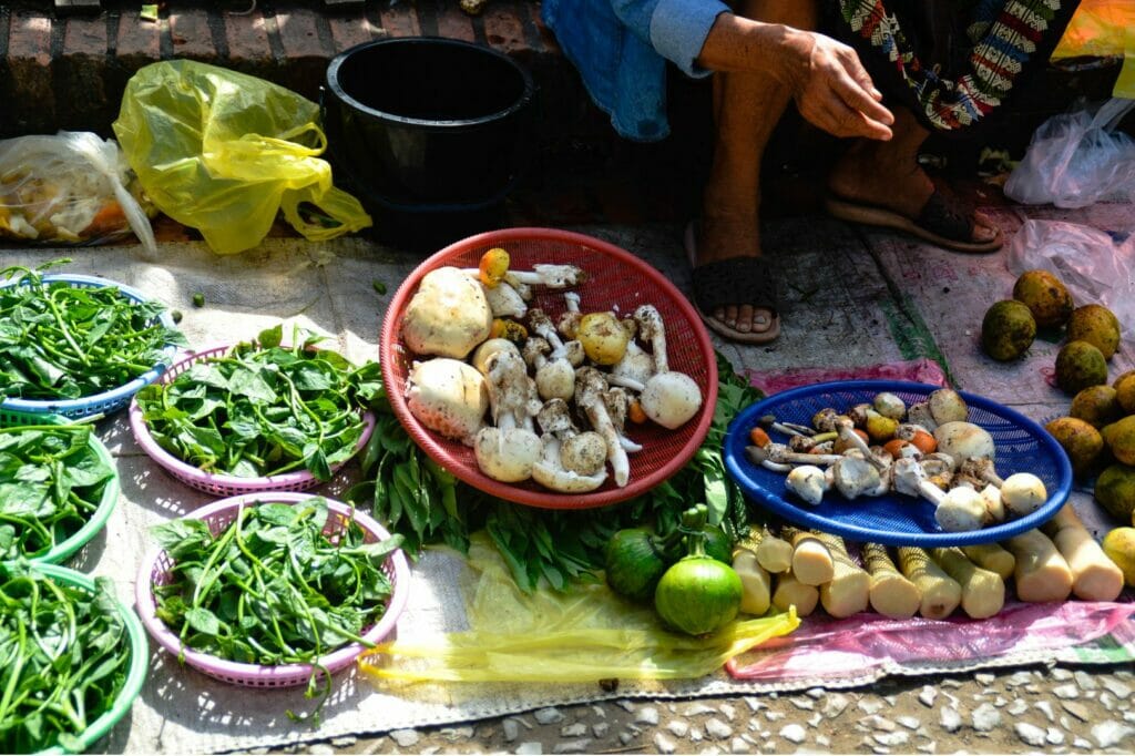 morning market à luang prabang