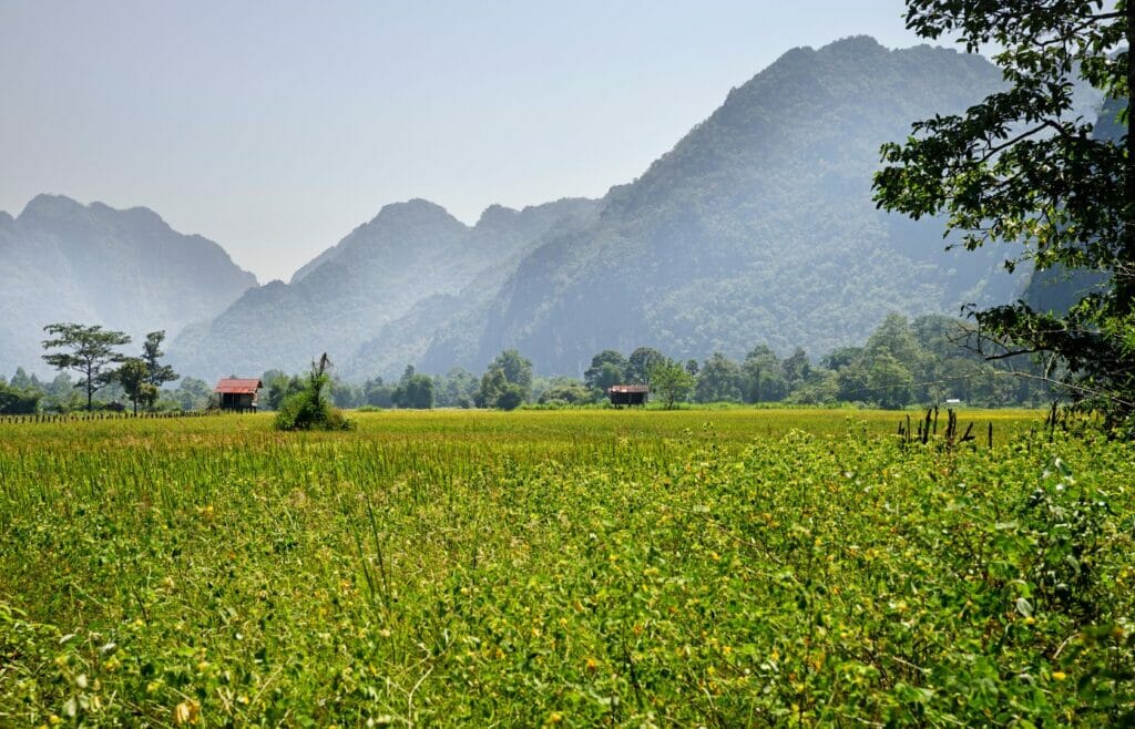 tobacco fields around Konglor