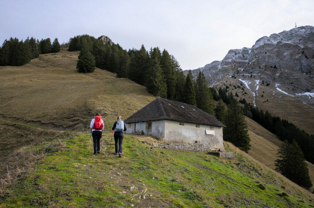 alpage de chamossale