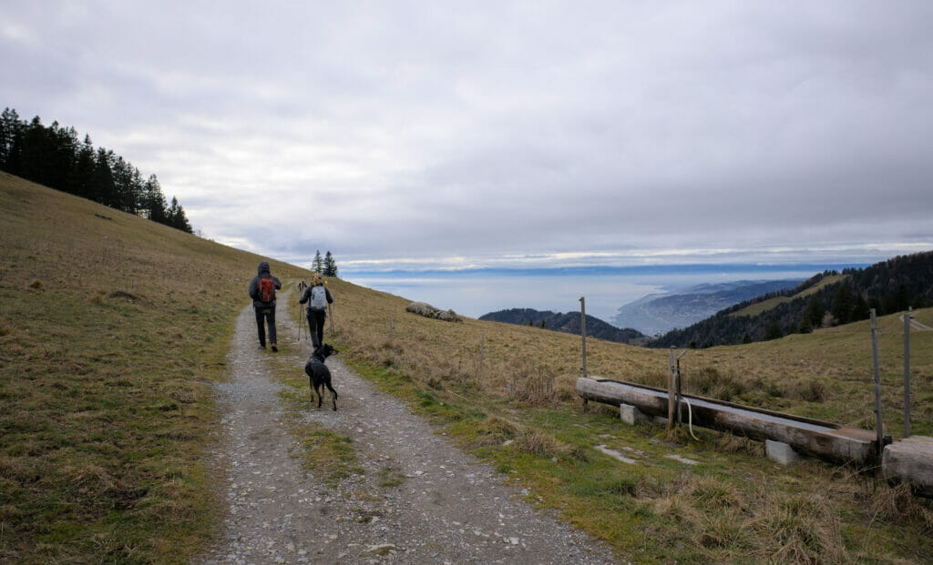 du col de Jaman à Haut de Caux