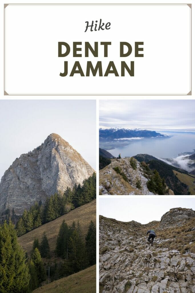 dent de jaman