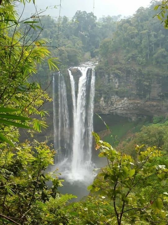 la cascade Tad Katamtok, une des plus grandes du Laos sur la boucle de Pakse sur le plateau des Bolovens