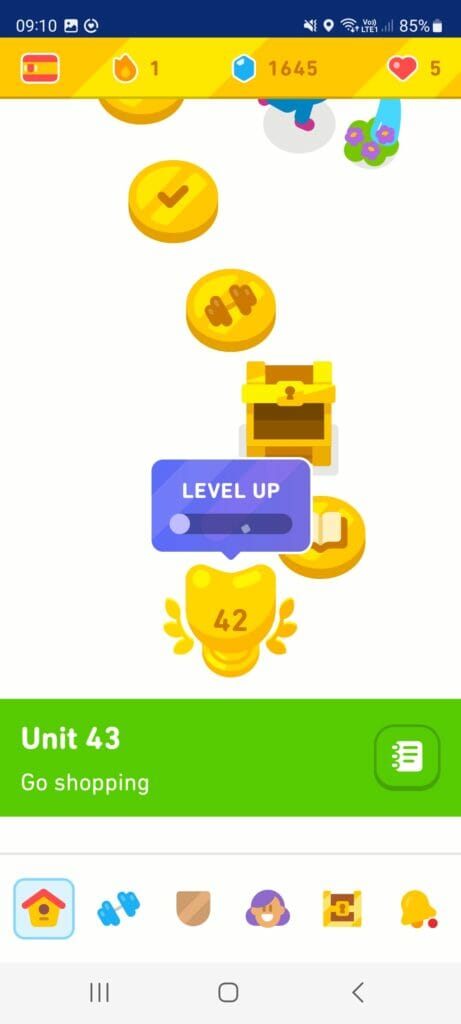 application duolingo