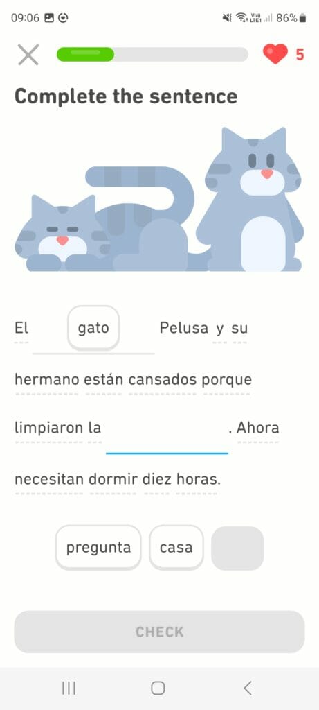 application duolingo