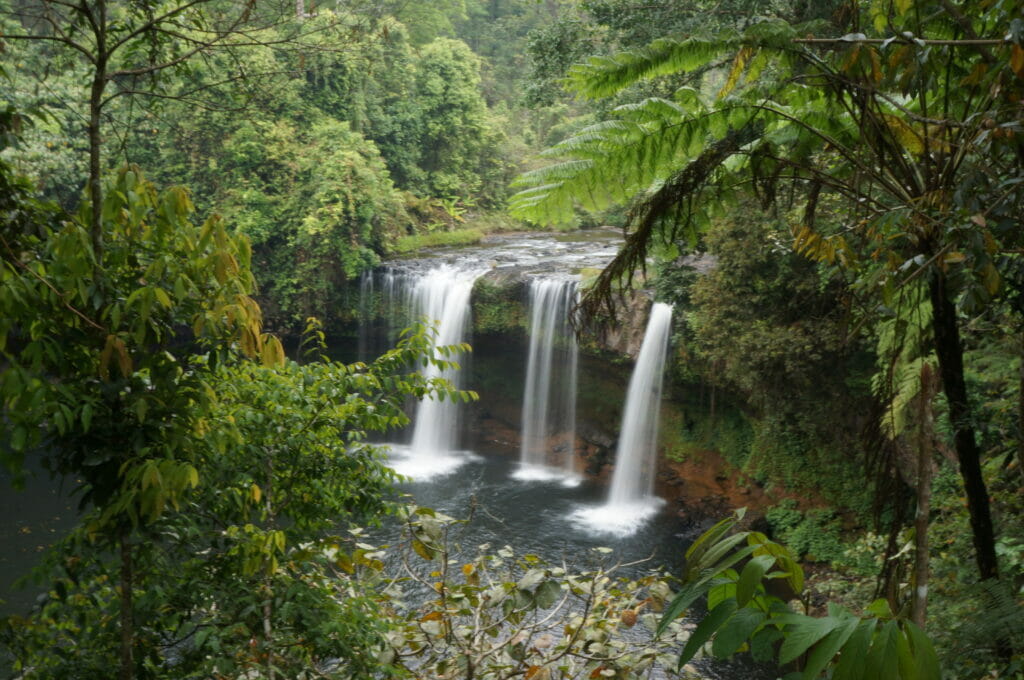 Tad Champee waterfall in the motorbike pakse loop