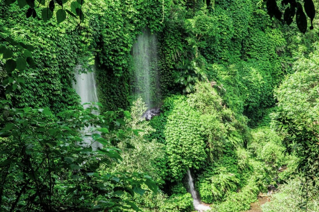 cascade Benang stokel proche du village de tetebatu à Lombok