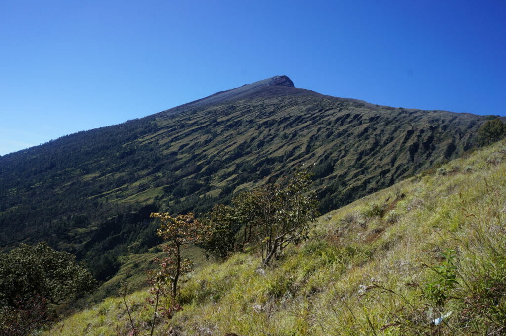 le sommet du mont Rinjani