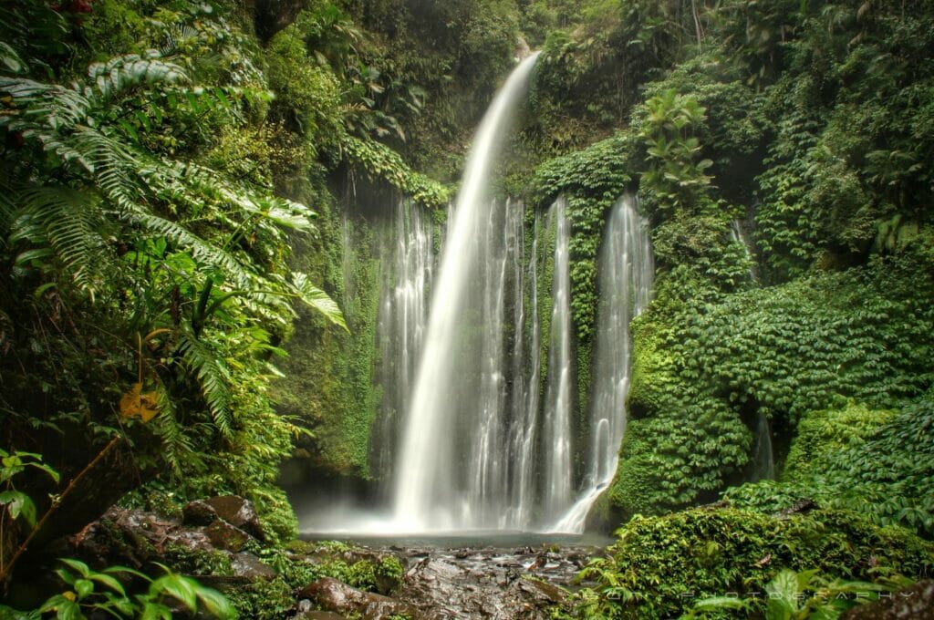 la cascade Tiu Kelep sur Lombok